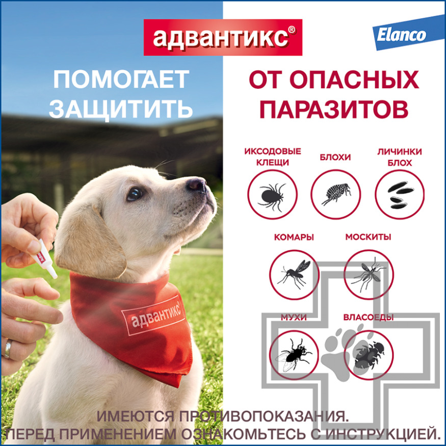 Адвантикс Капли на холку от блох, клещей и комаров (цена за 1 пипетку) Адвантикс Капли на холку от блох, клещей и комаров (цена за 1 пипетку)