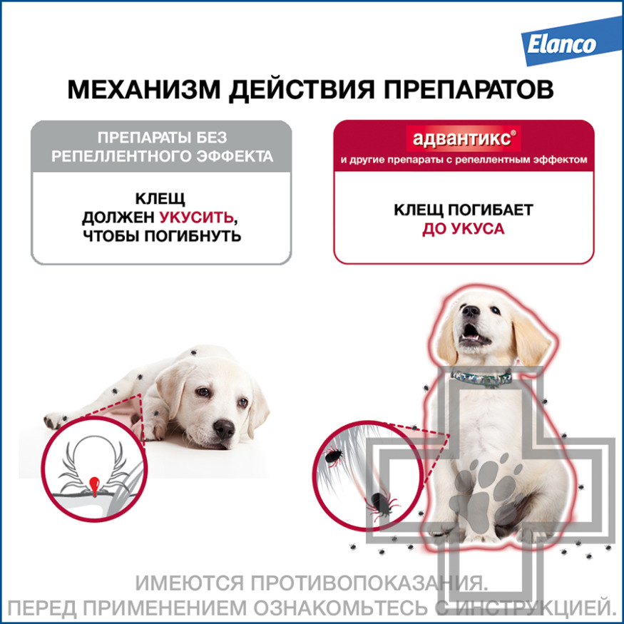 Адвантикс Капли на холку от блох, клещей и комаров (цена за 1 пипетку) Адвантикс Капли на холку от блох, клещей и комаров (цена за 1 пипетку)