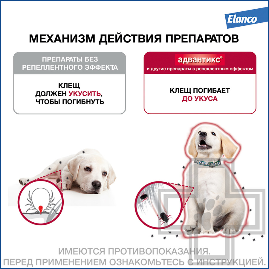 Адвантикс Капли на холку от блох, клещей и комаров (цена за 1 пипетку)