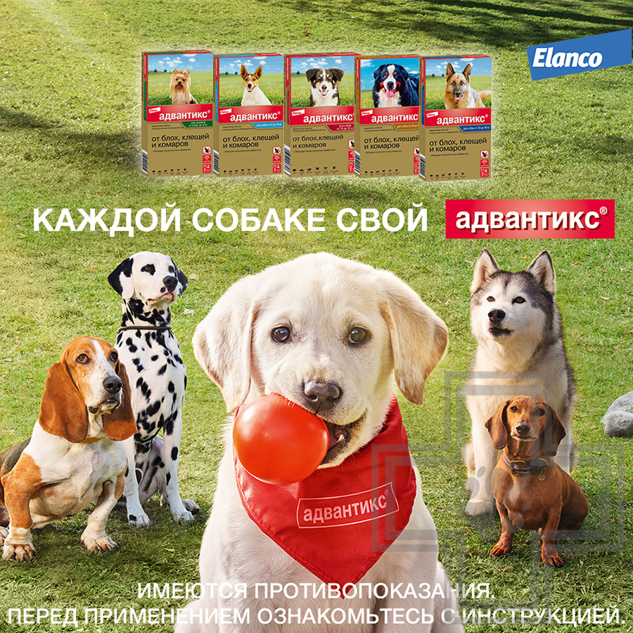 Адвантикс Капли на холку от блох, клещей и комаров (цена за 1 пипетку)