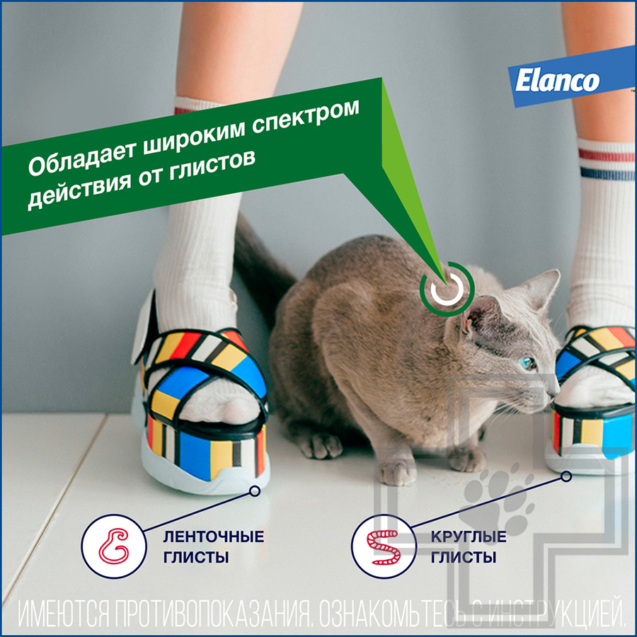 ДРОНТАЛ Таблетки от гельминтов для кошек (цена за 1 таблетку)