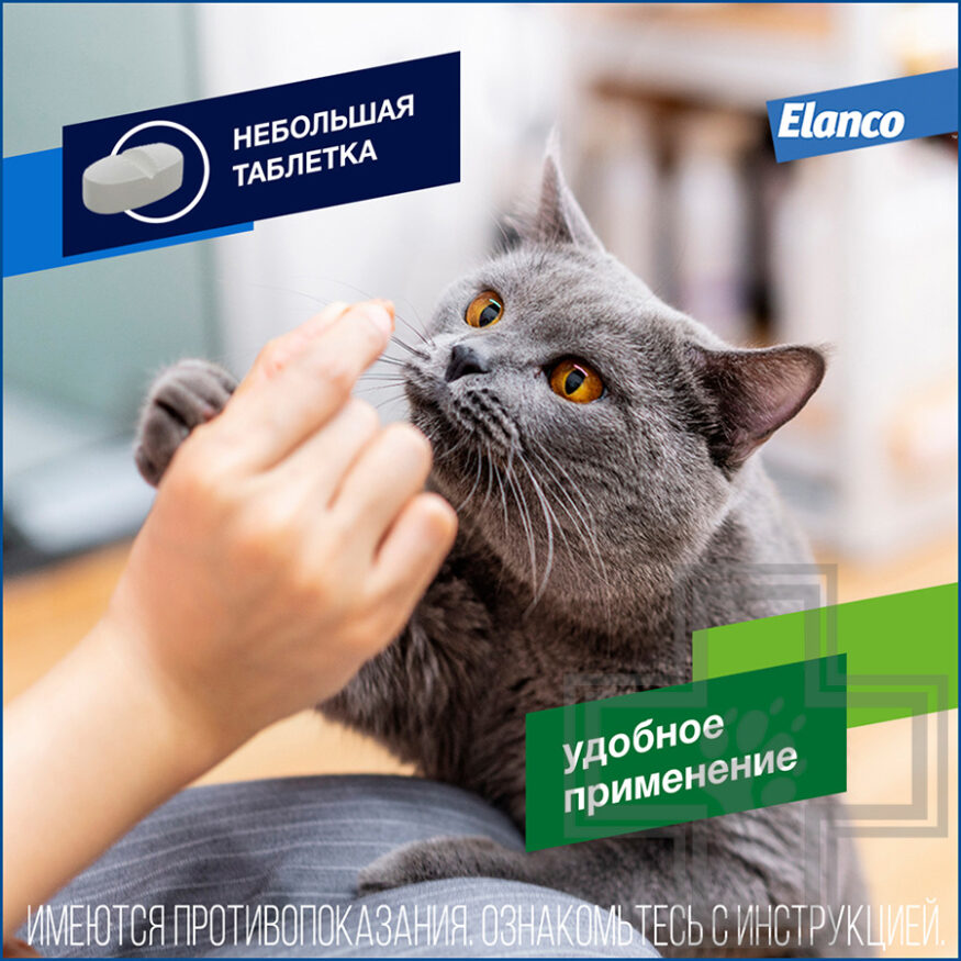 ДРОНТАЛ Таблетки от гельминтов для кошек (цена за 1 таблетку) ДРОНТАЛ Таблетки от гельминтов для кошек (цена за 1 таблетку)