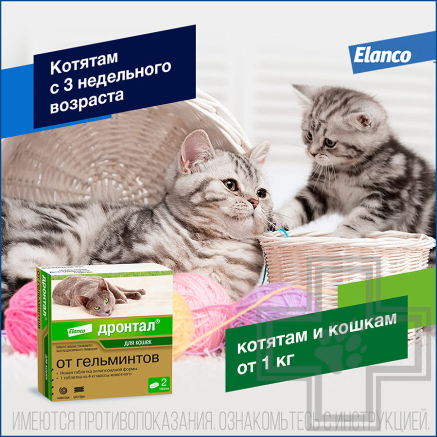ДРОНТАЛ Таблетки от гельминтов для кошек (цена за 1 таблетку) ДРОНТАЛ Таблетки от гельминтов для кошек (цена за 1 таблетку)