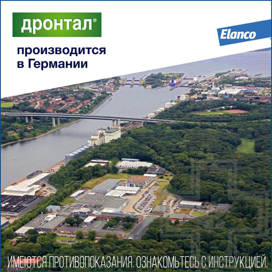 ДРОНТАЛ Таблетки от гельминтов для кошек (цена за 1 таблетку) ДРОНТАЛ Таблетки от гельминтов для кошек (цена за 1 таблетку)