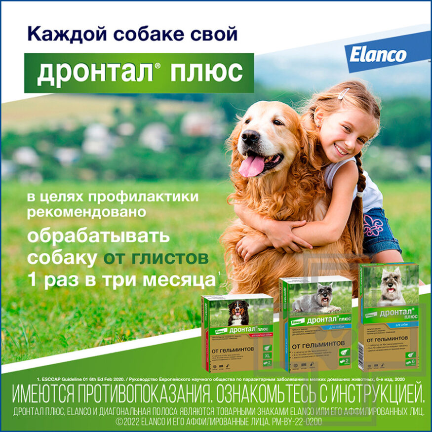 Дронтал плюс XL Таблетки от гельминтов для собак (цена за 1 таблетку)