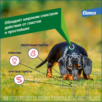 Дронтал плюс XL Таблетки от гельминтов для собак (цена за 1 таблетку)