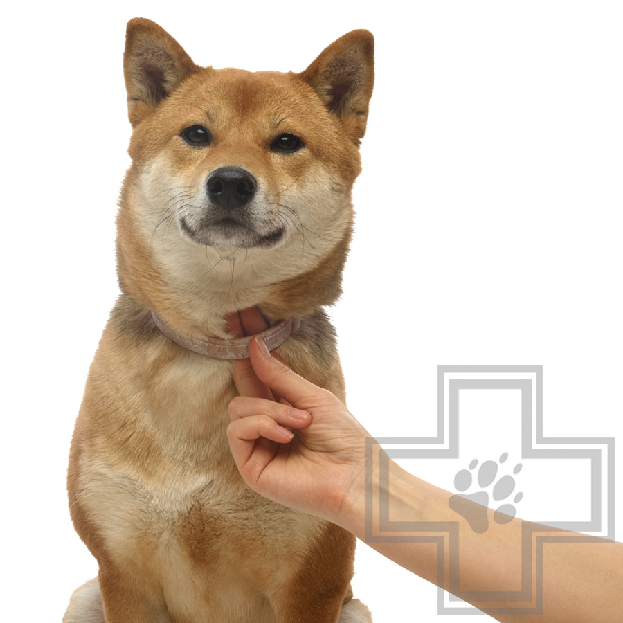 Больфо Ошейник для собак и кошек от блох и клещей (цена за 1 шт.)