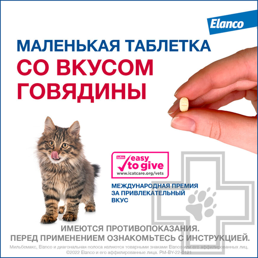 Мильбемакс Антигельминт для кошек и котят (цена за 1 таблетку)