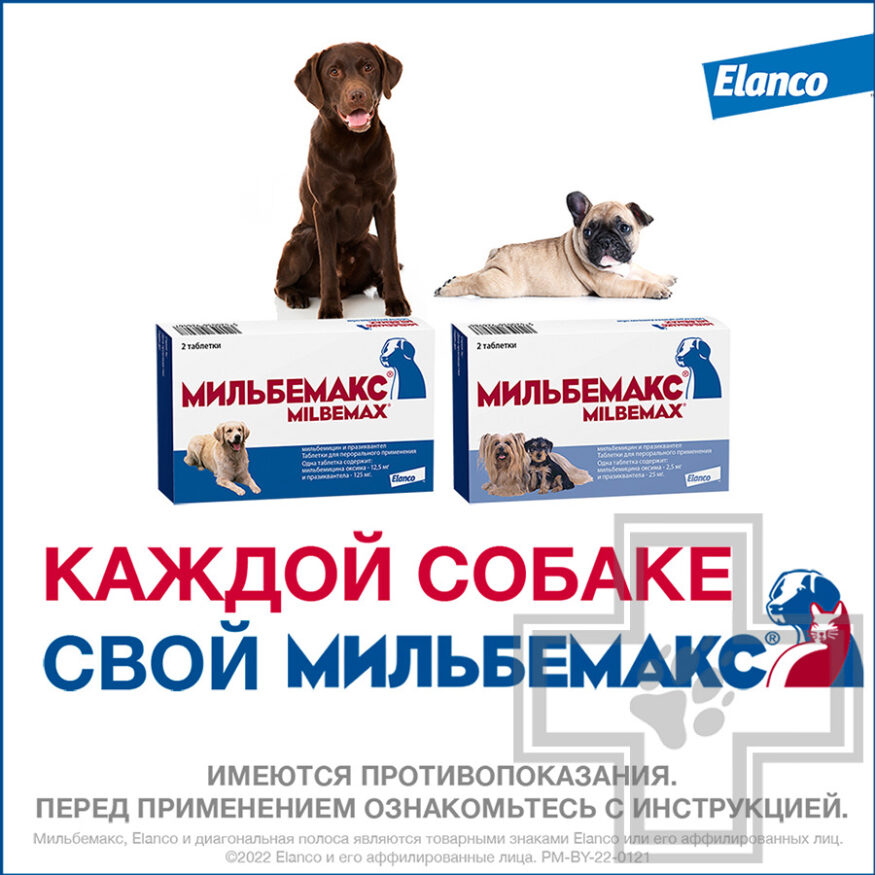 МИЛЬБЕМАКС Антигельминт для крупных собак (цена за 1 таблетку)