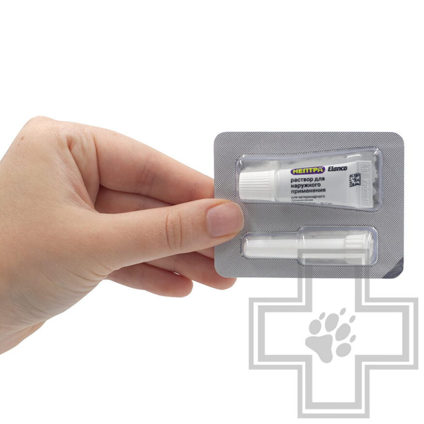 Нептра Раствор для лечения отита у собак (цена за 1 пипетку) Нептра Раствор для лечения отита у собак (цена за 1 пипетку)