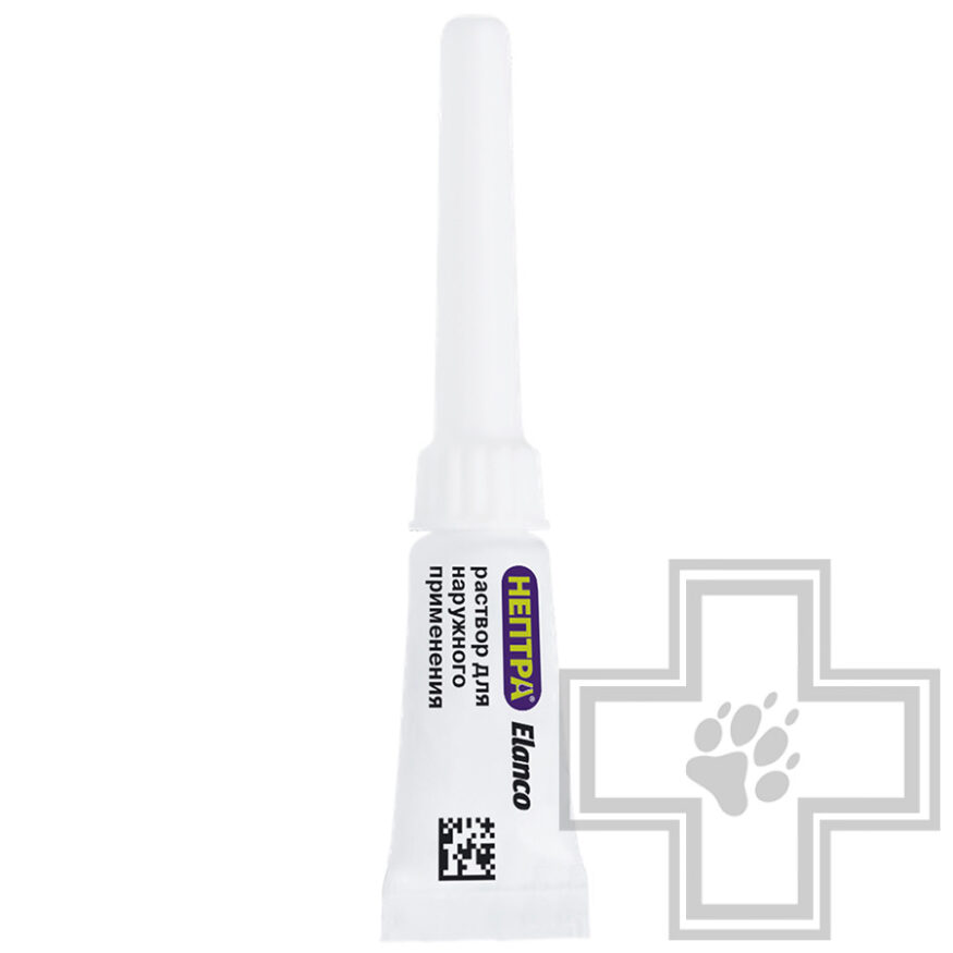 Нептра Раствор для лечения отита у собак (цена за 1 пипетку) Нептра Раствор для лечения отита у собак (цена за 1 пипетку)