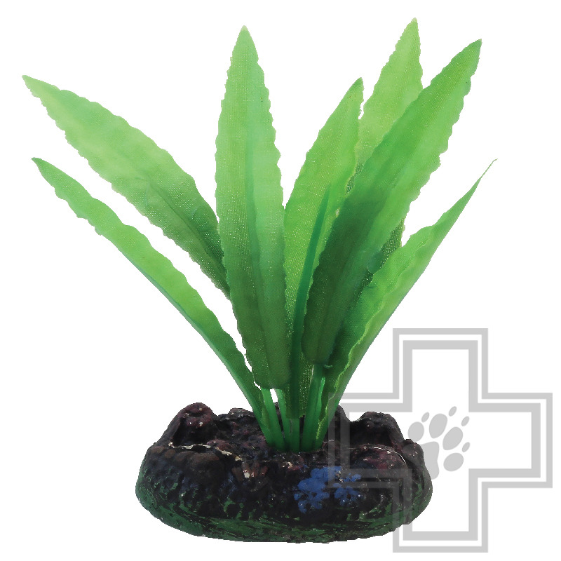 Laguna Растение шелковое "Апоногетон"