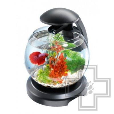 TETRA Cascade Globe Аквариум с водопадом для петушков, 6,8 л