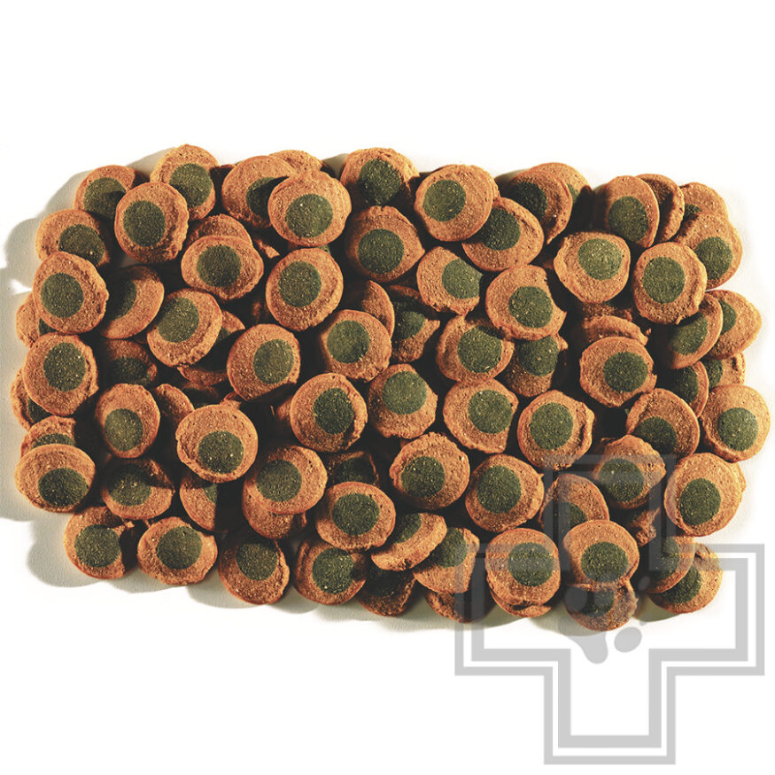 Tetra Pleco Spirulina Wafers Корм для всех видов травоядных донных рыб Tetra Pleco Spirulina Wafers Корм для всех видов травоядных донных рыб