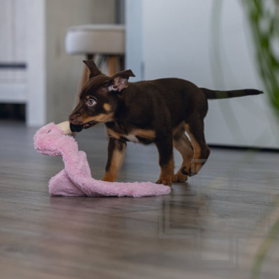 Beeztees Игрушка плюшевая для собак "Фламинго Фи"