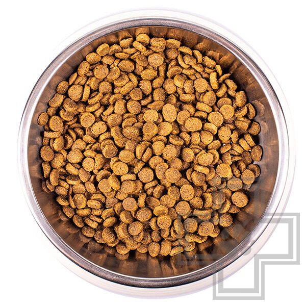 Monge Daily Line Корм для котят и беременных кошек, с курицей Monge Daily Line Корм для котят и беременных кошек, с курицей