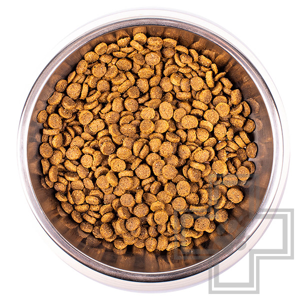 Monge Daily Line Корм для котят и беременных кошек, с курицей