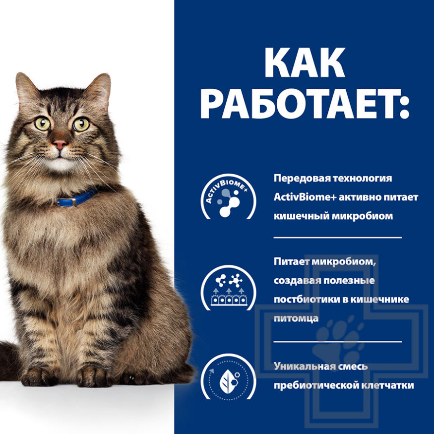 Hill's PD Gastrointestinal Biome Пресервы-диета для кошек при расстройствах пищеварения, с курицей Hill's PD Gastrointestinal Biome Пресервы-диета для кошек при расстройствах пищеварения, с курицей