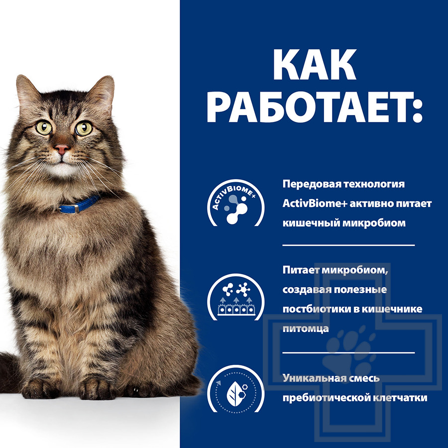 Hill's PD Gastrointestinal Biome Пресервы-диета для кошек при расстройствах пищеварения, с курицей
