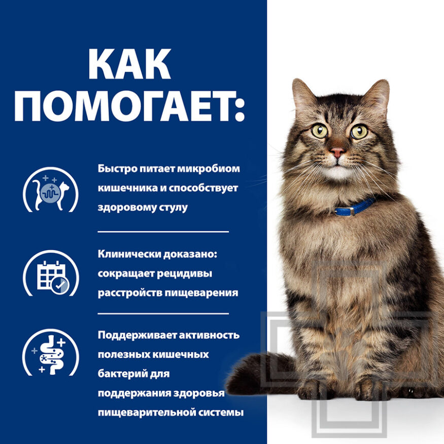 Hill's PD Gastrointestinal Biome Пресервы-диета для кошек при расстройствах пищеварения, с курицей Hill's PD Gastrointestinal Biome Пресервы-диета для кошек при расстройствах пищеварения, с курицей