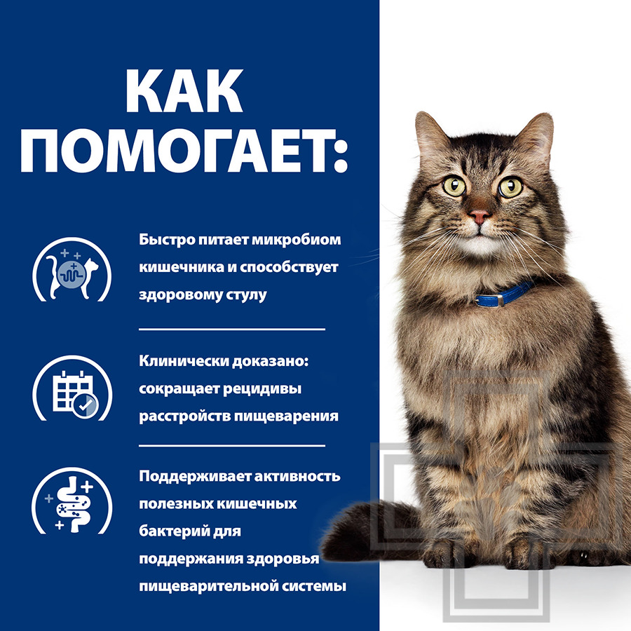 Hill's PD Gastrointestinal Biome Пресервы-диета для кошек при расстройствах пищеварения, с курицей