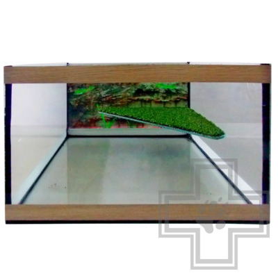 Террариум с освещением и проточной вентиляцией