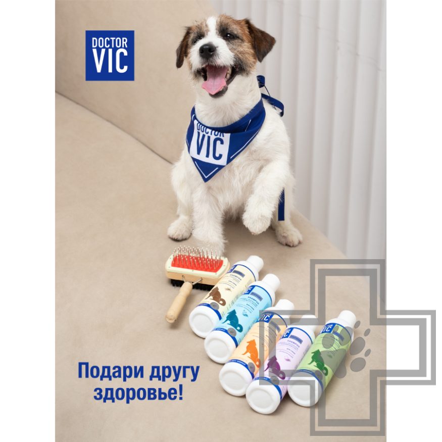 Doctor VIC Шампунь с пантенолом «Ваниль» для собак