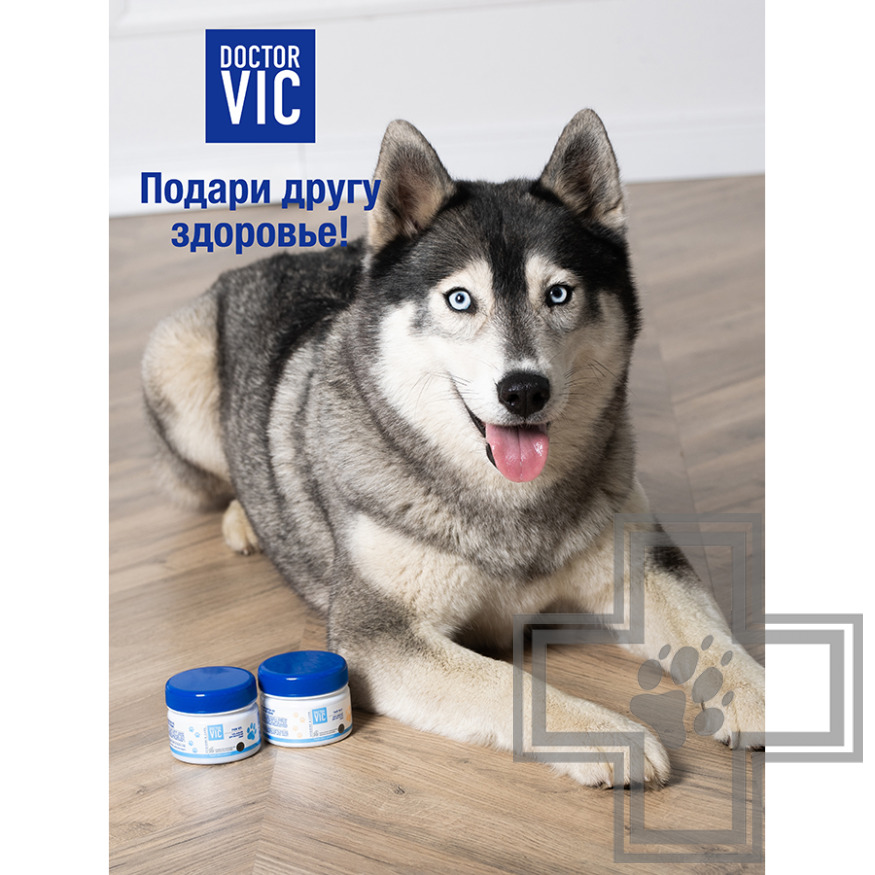 Doctor VIC Гель-бальзам для лап и когтей собак