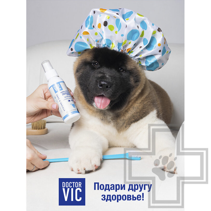 Doctor VIC Спрей для чистки зубов и свежести дыхания собак и кошек