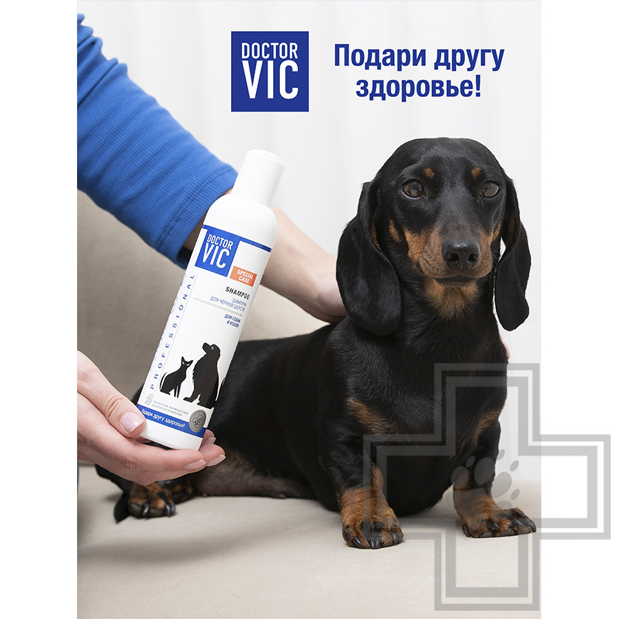 Doctor VIC Шампунь для черной шерсти собак и кошек