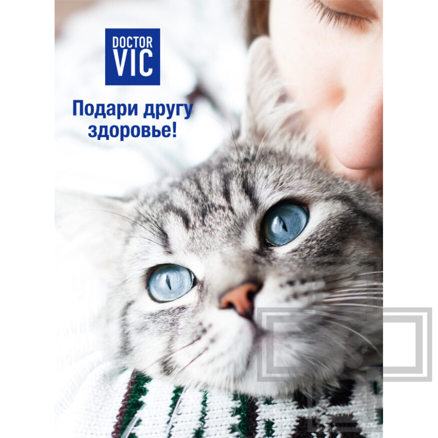 Doctor VIC Шампунь-кондиционер «Cherry vanilla» для кошек