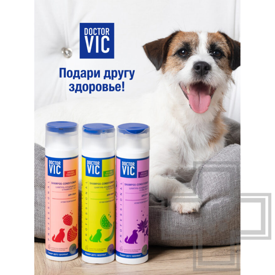 Doctor VIC Шампунь-кондиционер «Strawberry tart» для собак