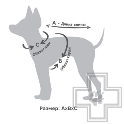 Triol Толстовка "Медвежонок", с рисунком