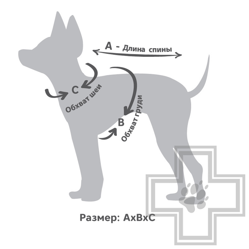 Triol Толстовка "Медвежонок", с рисунком