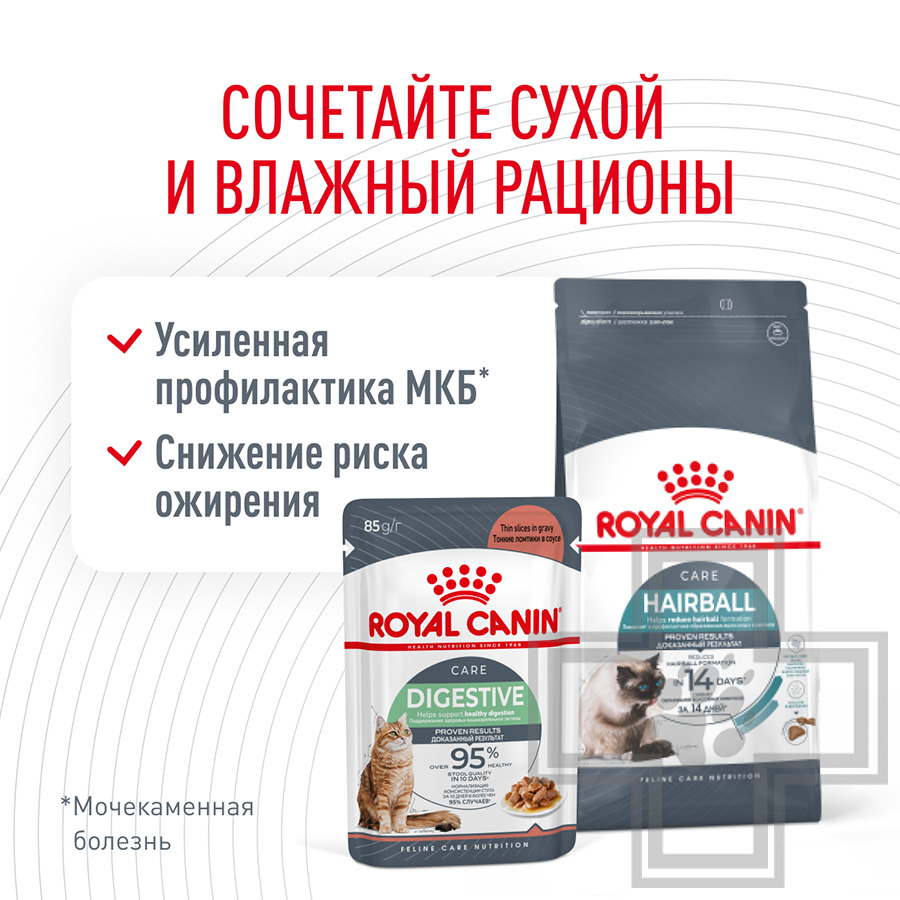 Royal Canin Hairball Care