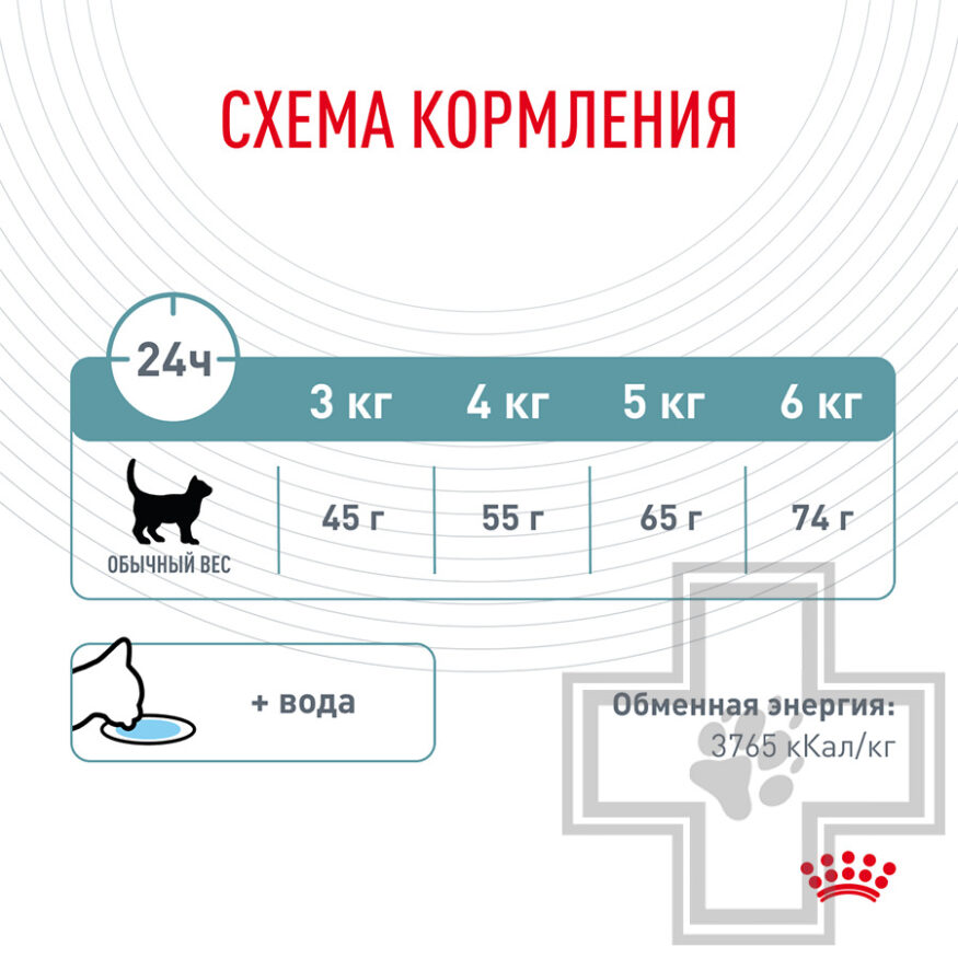 Royal Canin Hairball Care Royal Canin Hairball Care