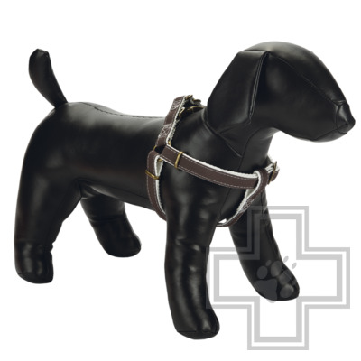 Beeztees Шлейка Virante, 10 мм