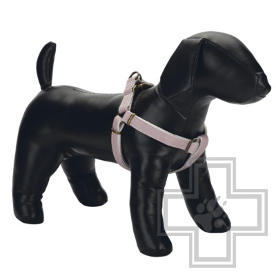 Beeztees Шлейка Virante, 10 мм