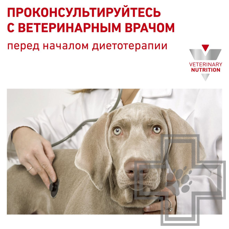 Royal Canin Skintopic Small Dog Корм-диета для взрослых собак мелких пород с атопическим дерматитом