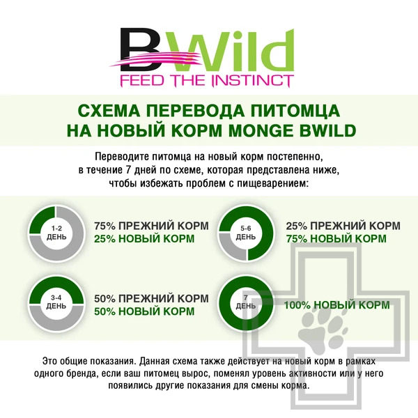 Monge Dog BWild GRAIN FREE Консервы для взрослых собак всех пород, с ягненком, тыквой и кабачками