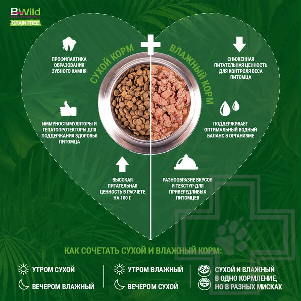 Monge Dog BWild GRAIN FREE Консервы для взрослых собак всех пород, с ягненком, тыквой и кабачками Monge Dog BWild GRAIN FREE Консервы для взрослых собак всех пород, с ягненком, тыквой и кабачками