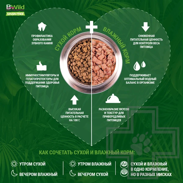 Monge Dog BWild GRAIN FREE Консервы для взрослых собак всех пород, с ягненком, тыквой и кабачками