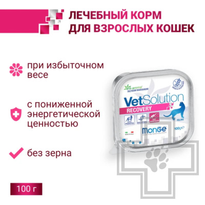 Monge VetSolution Recovery Консервы-диета для кошек при восстановлении в период выздоровления