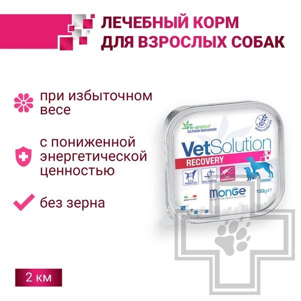 Monge VetSolution Recovery Консервы-диета для собак при восстановлении в период выздоровления Monge VetSolution Recovery Консервы-диета для собак при восстановлении в период выздоровления