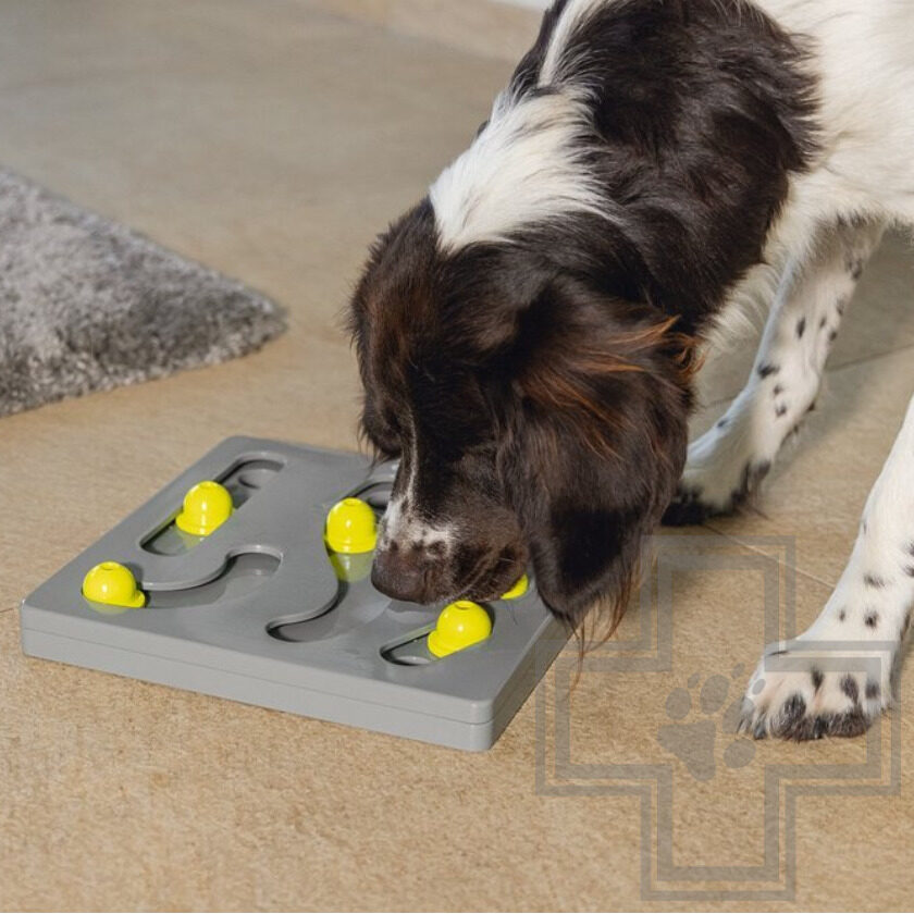 Beeztees Brain Game Looki Развивающая игрушка для собак Beeztees Brain Game Looki Развивающая игрушка для собак