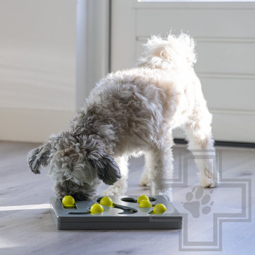 Beeztees Brain Game Looki Развивающая игрушка для собак Beeztees Brain Game Looki Развивающая игрушка для собак