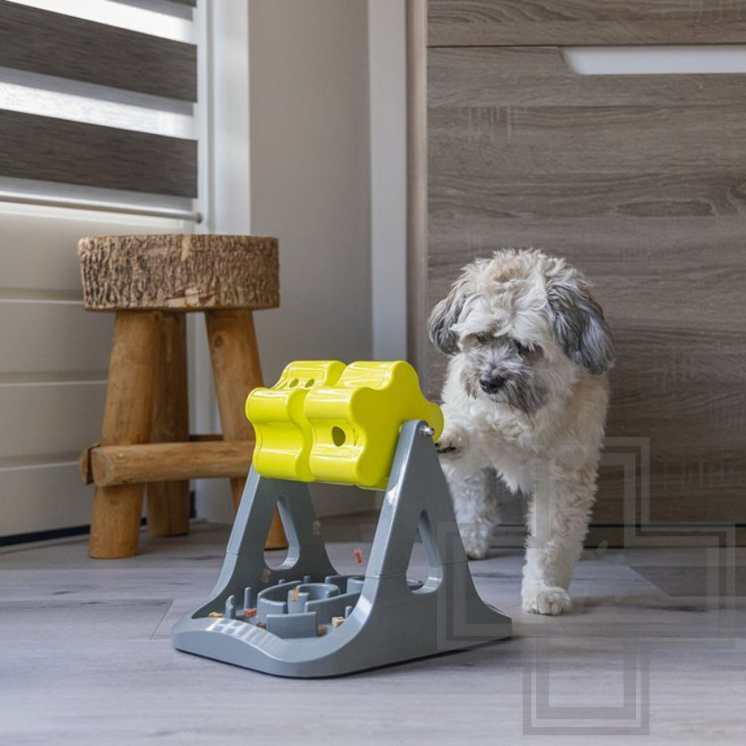 Beeztees Brain Game Rodar Развивающая игрушка для собак