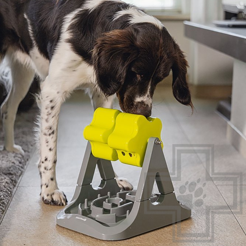 Beeztees Brain Game Rodar Развивающая игрушка для собак