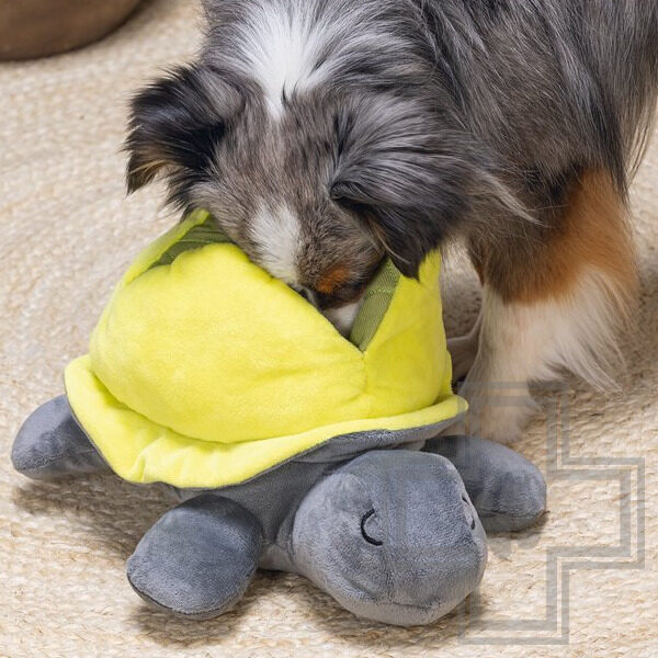 Beeztees Hide And Seek Schildo Игрушка для собак "Черепаха" Beeztees Hide And Seek Schildo Игрушка для собак "Черепаха"