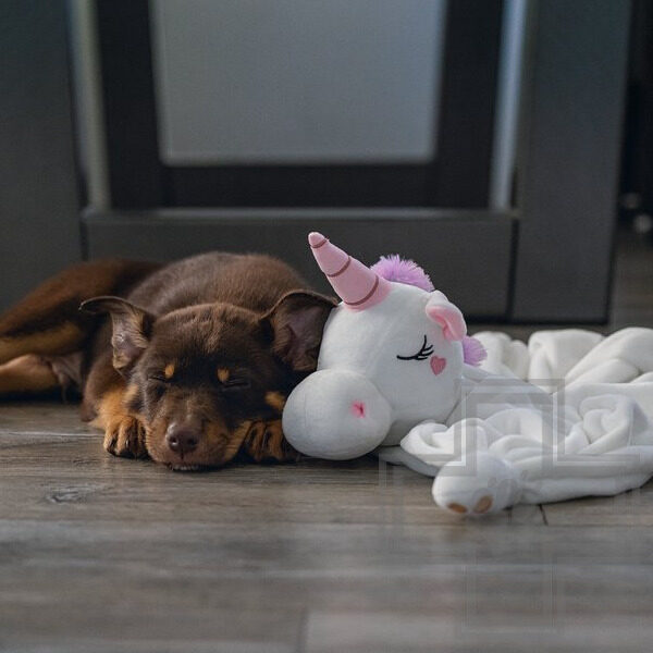 Beeztees Плюшевая игрушка для щенков "Единорог" Beeztees Плюшевая игрушка для щенков "Единорог"